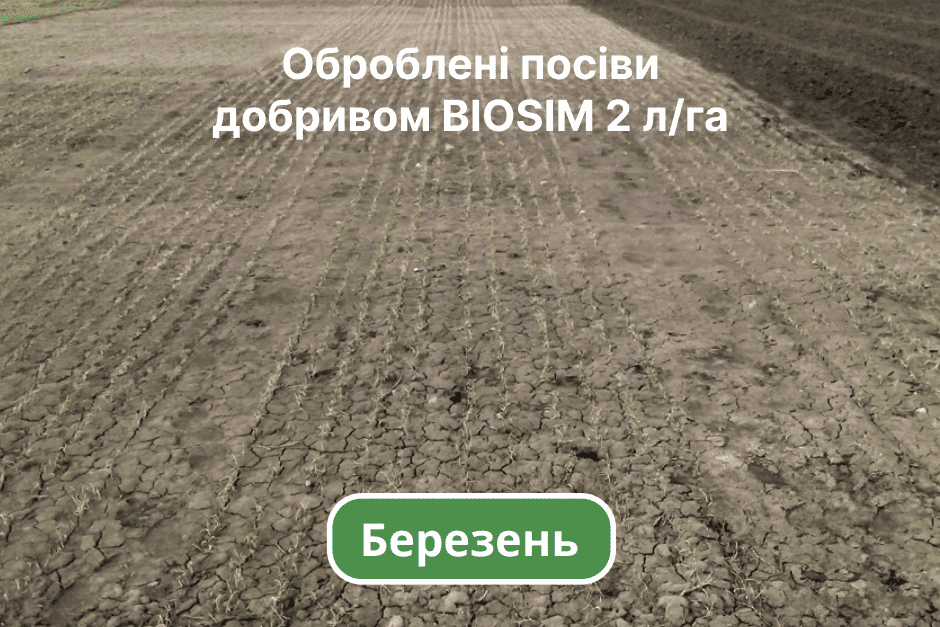 Березень